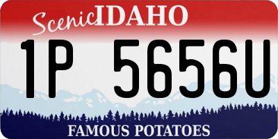 ID license plate 1P5656U