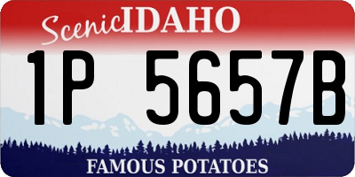 ID license plate 1P5657B