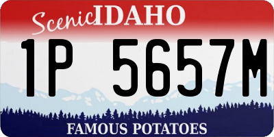 ID license plate 1P5657M