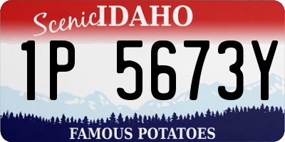 ID license plate 1P5673Y