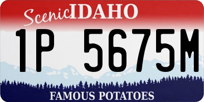 ID license plate 1P5675M