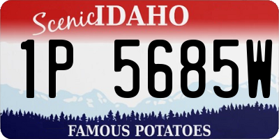 ID license plate 1P5685W
