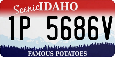 ID license plate 1P5686V