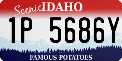 ID license plate 1P5686Y