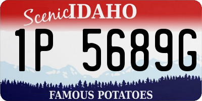 ID license plate 1P5689G