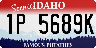 ID license plate 1P5689K