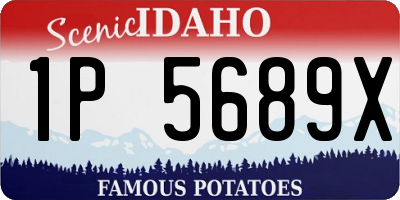 ID license plate 1P5689X