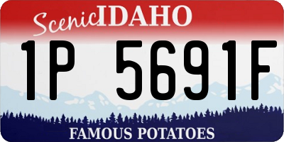 ID license plate 1P5691F