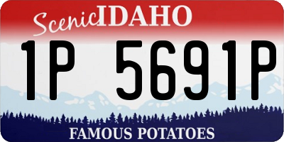 ID license plate 1P5691P