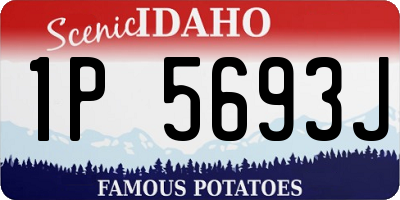 ID license plate 1P5693J