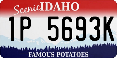 ID license plate 1P5693K