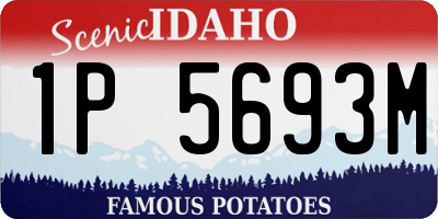 ID license plate 1P5693M