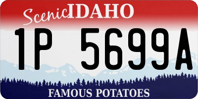 ID license plate 1P5699A