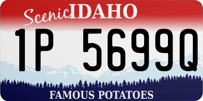 ID license plate 1P5699Q