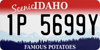 ID license plate 1P5699Y