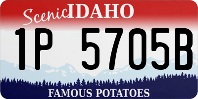 ID license plate 1P5705B