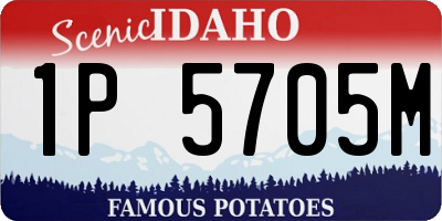 ID license plate 1P5705M