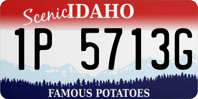 ID license plate 1P5713G