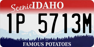 ID license plate 1P5713M