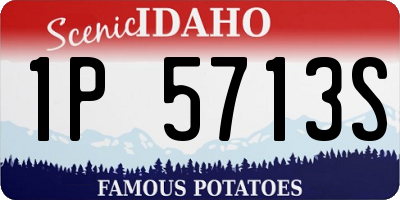 ID license plate 1P5713S