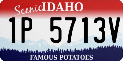 ID license plate 1P5713V