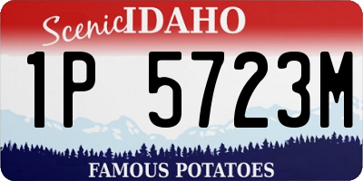 ID license plate 1P5723M