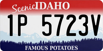 ID license plate 1P5723V