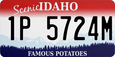 ID license plate 1P5724M