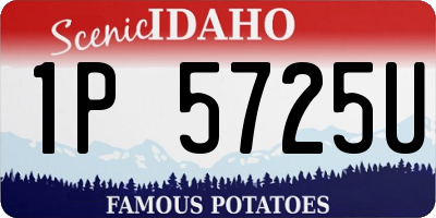 ID license plate 1P5725U