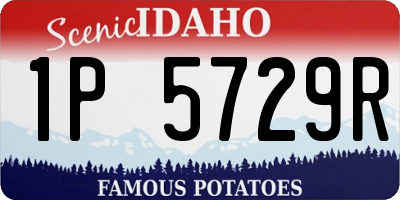 ID license plate 1P5729R