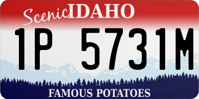 ID license plate 1P5731M