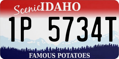 ID license plate 1P5734T