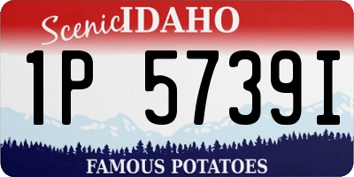 ID license plate 1P5739I