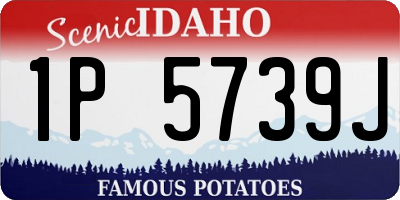 ID license plate 1P5739J