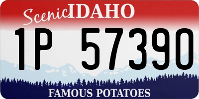 ID license plate 1P5739O