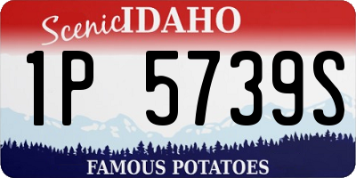 ID license plate 1P5739S