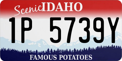 ID license plate 1P5739Y