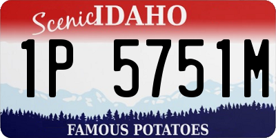 ID license plate 1P5751M