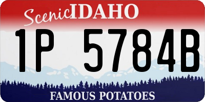 ID license plate 1P5784B