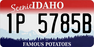 ID license plate 1P5785B