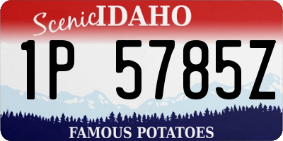 ID license plate 1P5785Z