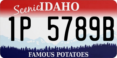 ID license plate 1P5789B