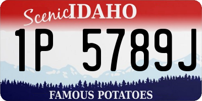 ID license plate 1P5789J