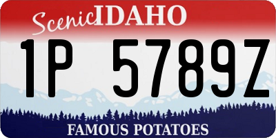 ID license plate 1P5789Z