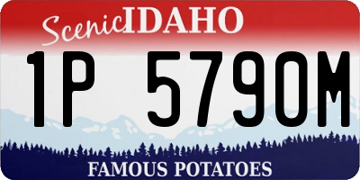 ID license plate 1P5790M