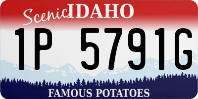 ID license plate 1P5791G