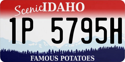ID license plate 1P5795H