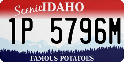 ID license plate 1P5796M