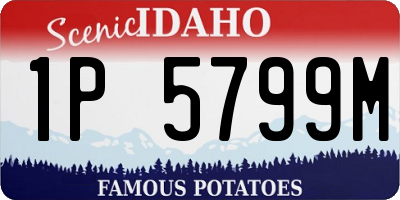 ID license plate 1P5799M