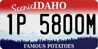 ID license plate 1P5800M